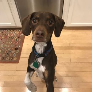 Meet your Posher, Nora